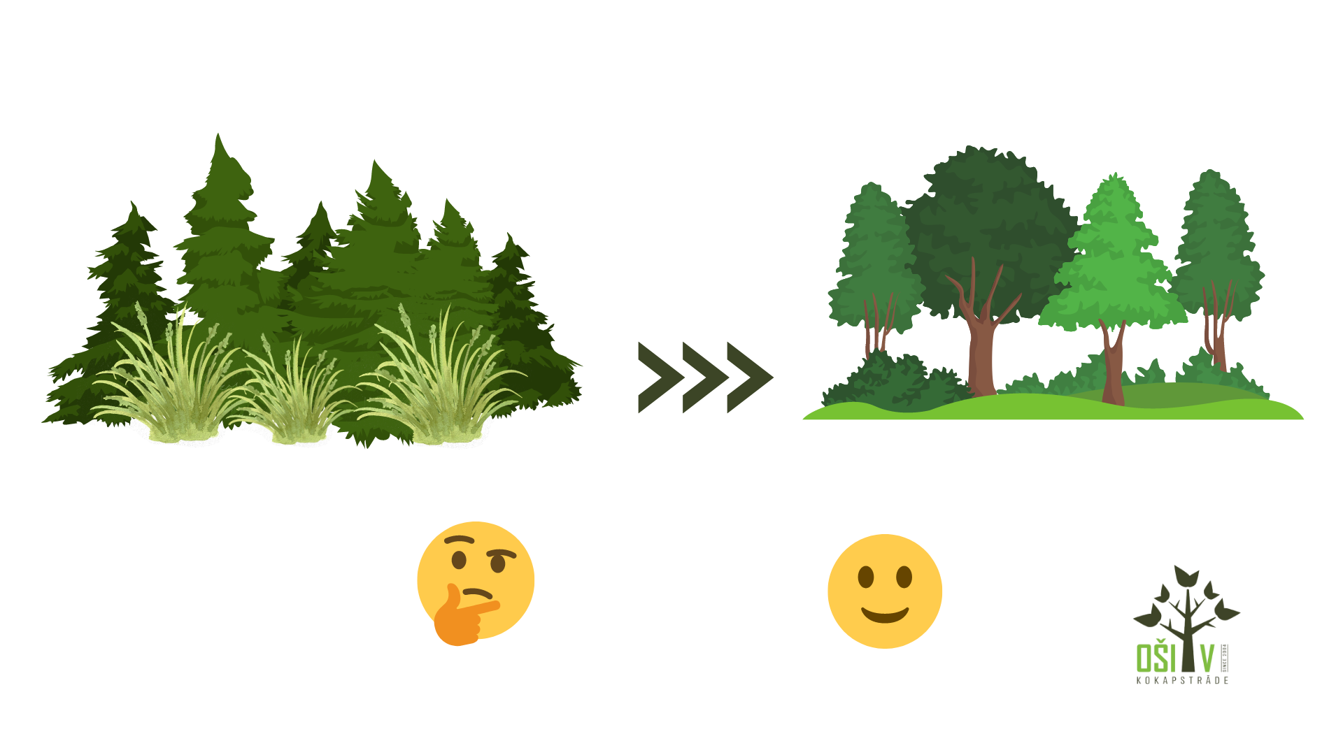 Apaugumu tīrīšana Apaugumu tīrīšana