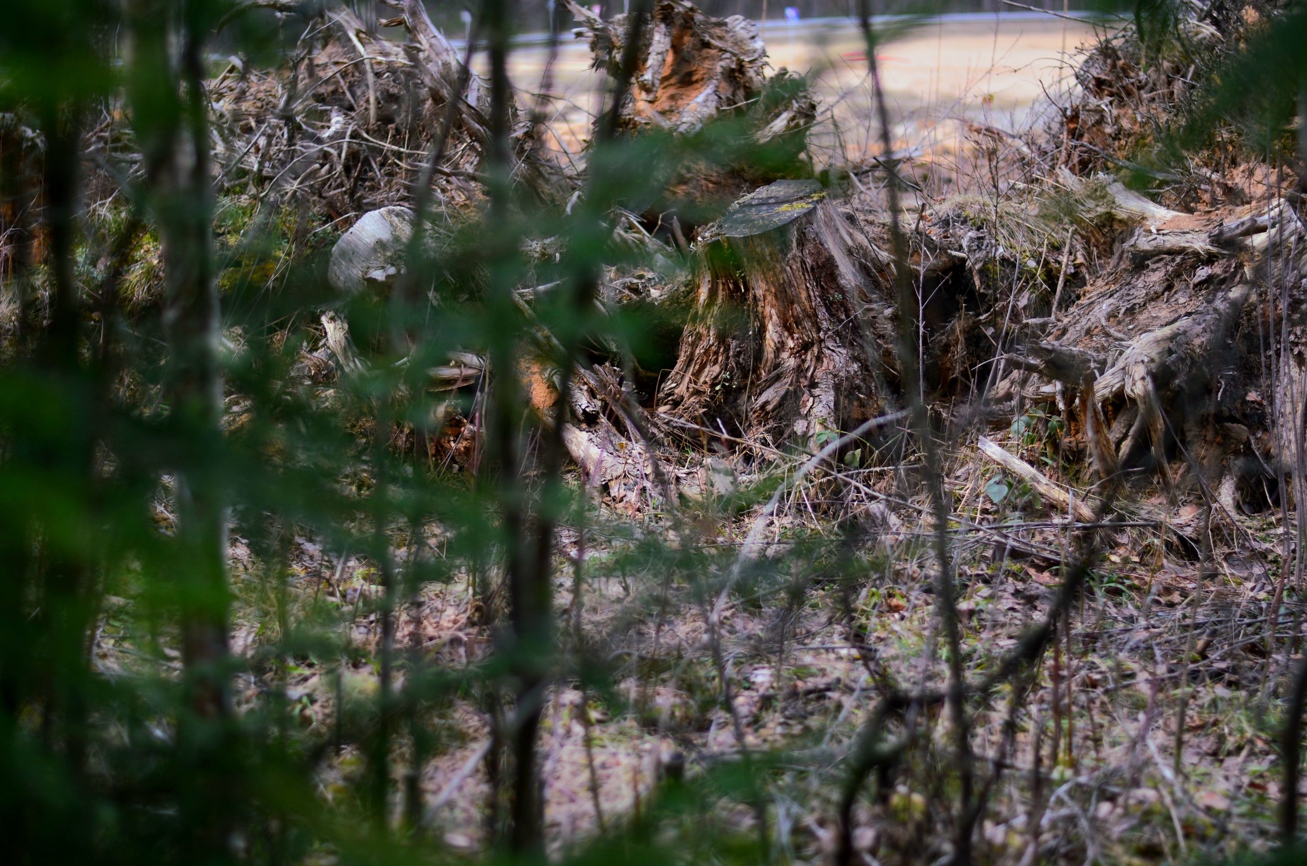 apaugumu tirisana Apaugumu tīrīšana