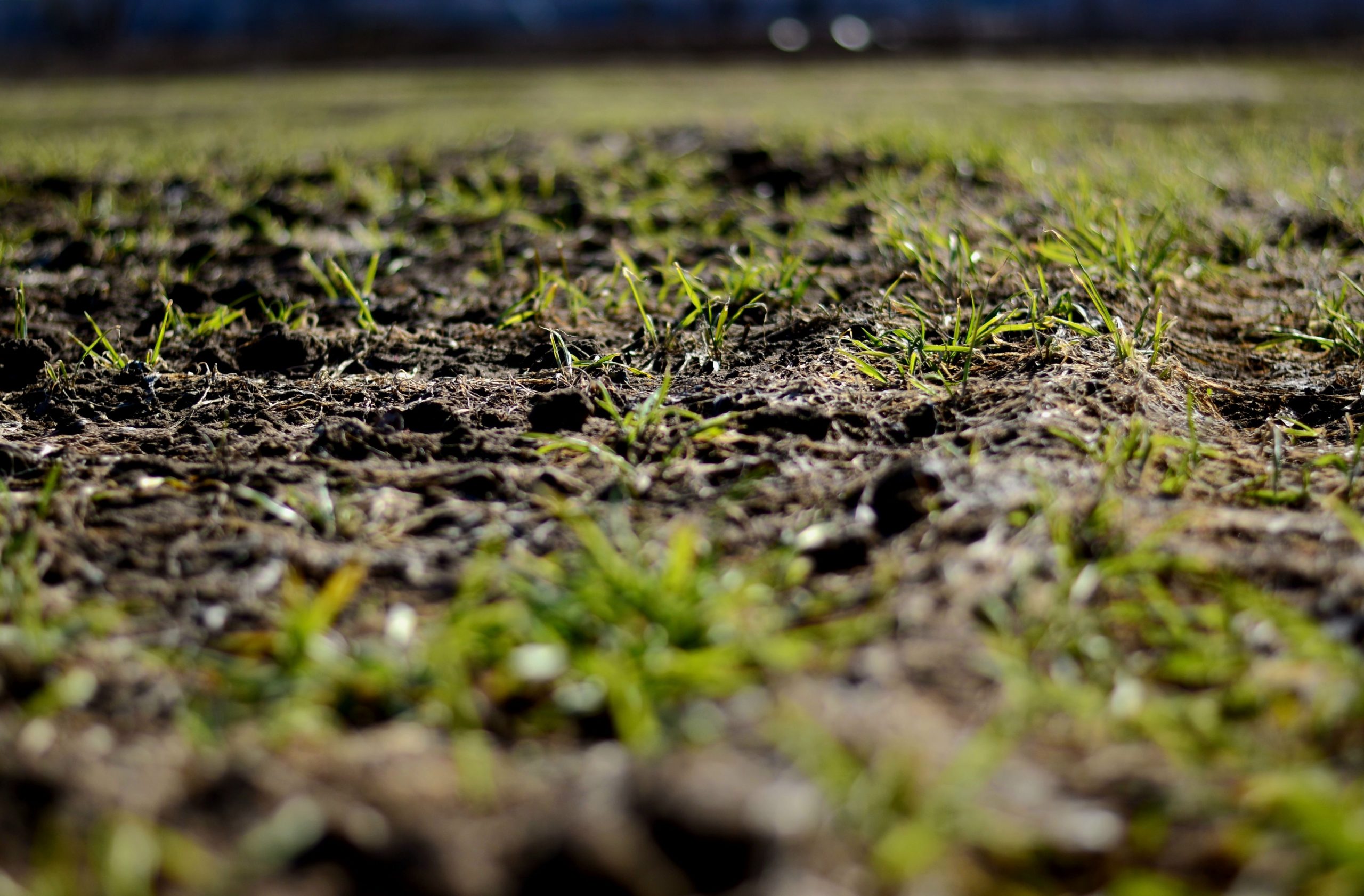 Lauksaimniecibas zeme Lauksaimniecības zeme