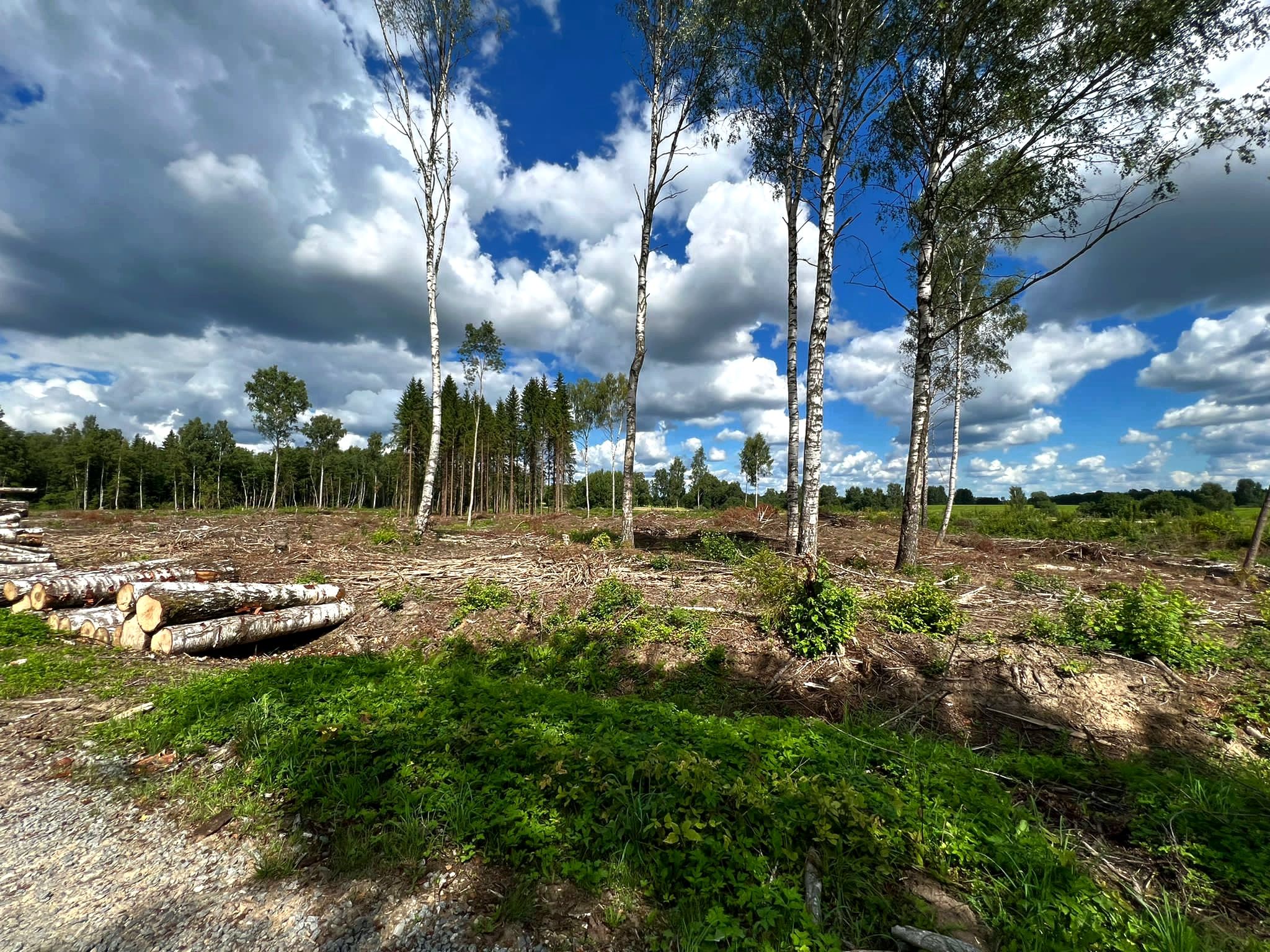 Lauksaimniecības zemes iekārtošana Lauksaimniecības zemes iekārtošana